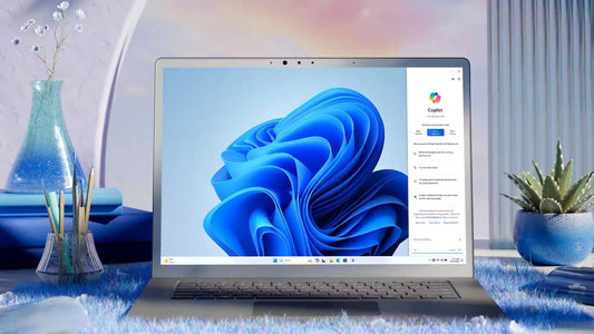 Microsoft Windows 11 Professional